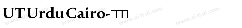 UT Urdu Cairo字体转换